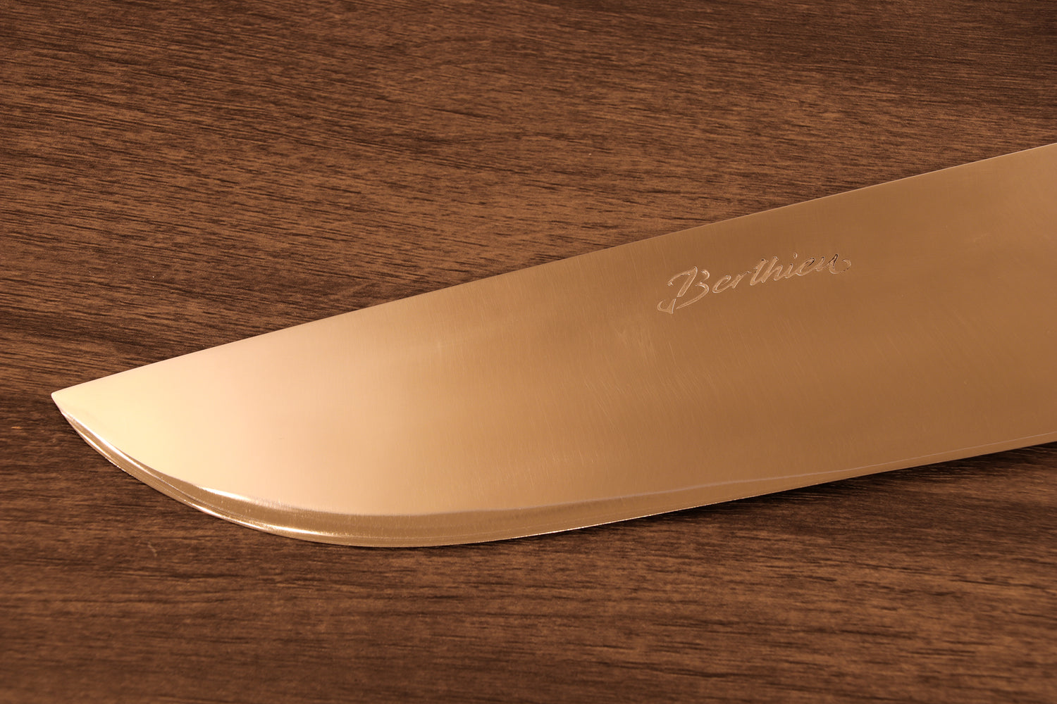 Berthieu artisan Gaucho knife 20 cm, featuring full tang stainless steel blade and Micarta handle, perfect for kitchen and outdoor grilling applications.
